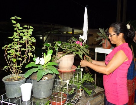 Praticando ações ambientais